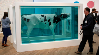 Damien Hirst Art Is Leaking Poisonous Gas